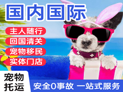 厦门航空运输国际宠物托运 【国